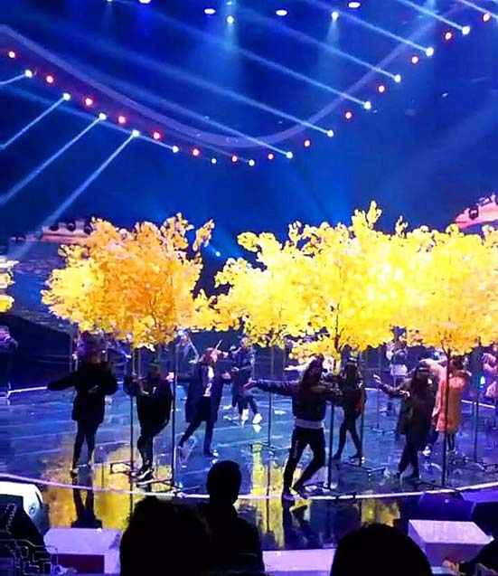 《魅力中國城》復(fù)賽--我隨市長(zhǎng)上央視程力戰(zhàn)隊(duì)展露芳華